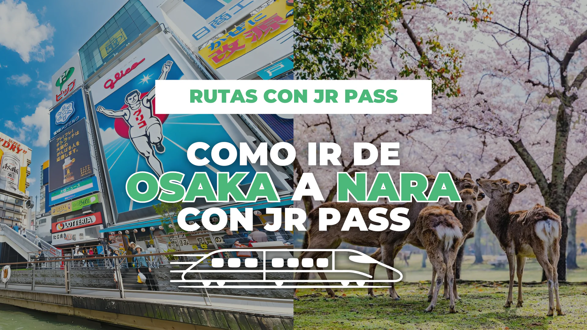 cómo ir de Osaka a Nara con JR Pass